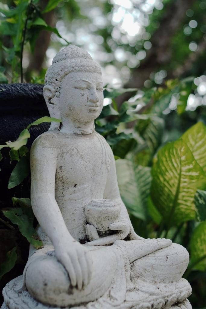 Sattva Yoga Retreat Villas Canggu Buitenkant foto